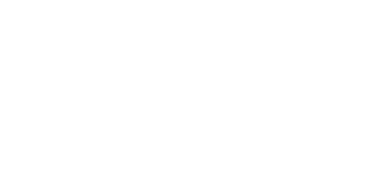 Rzetelna Firma Certificate